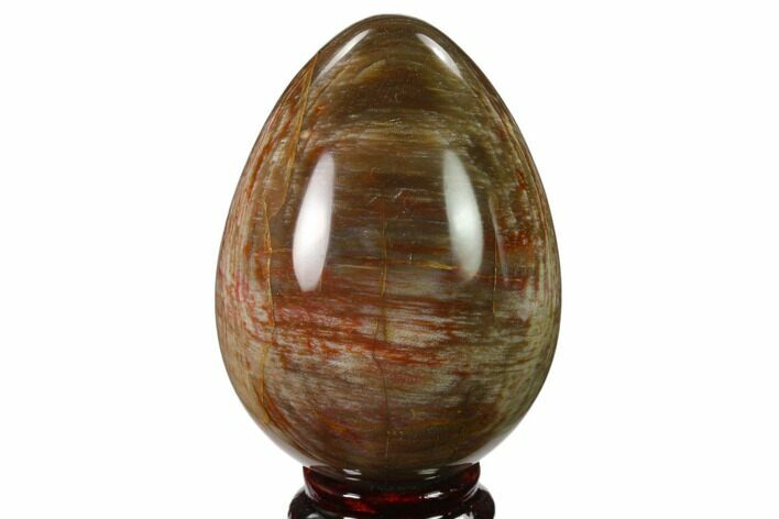 Colorful, Polished Petrified Wood Egg - Triassic #133895